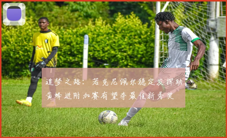 追梦之路：若克尼佩尔稳定发挥助黄蜂进附加赛有望夺最佳新秀奖