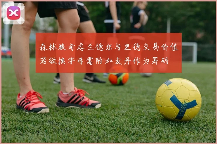 森林狼考虑兰德尔与里德交易价值若欲换字母需附加麦丹作为筹码