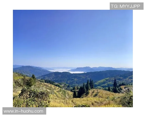 布克谈迈阿密天气变化迅速表示自己并未过于关注阴雨情况 布克谈迈阿密天气变化迅速表示自己并未过于关注阴雨情况